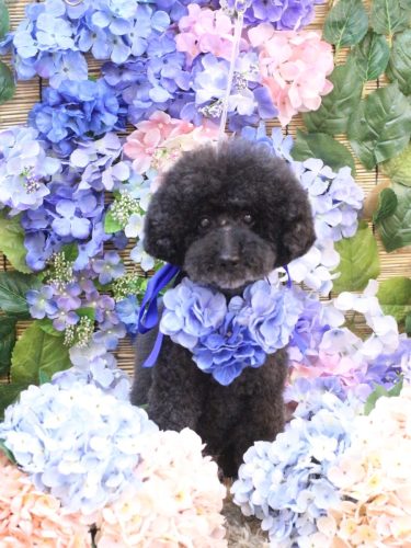 20250628ラブくん